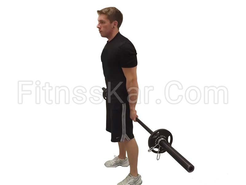 ساعد عقب هالتر - تصویر 1