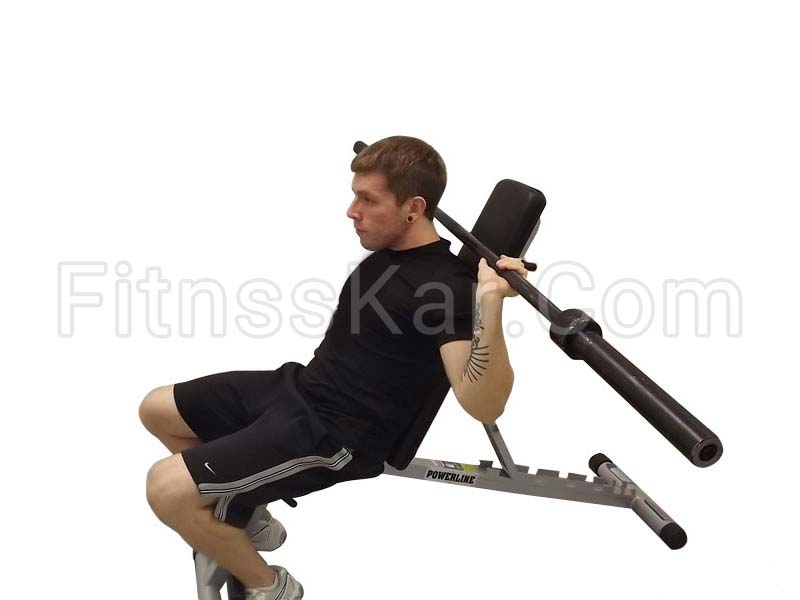 پرس سرشانه برادفورد راکی هالتر - تصویر 3