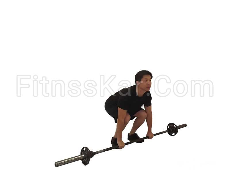 ددلیفت با هالتر - تصویر 1