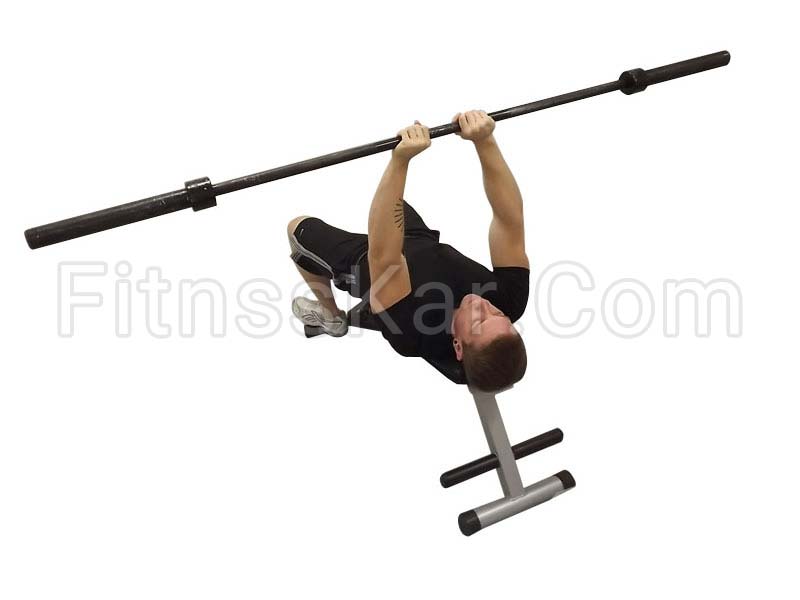 پرس پشت بازو هالتر دست جمع تا چانه خوابیده - تصویر 1