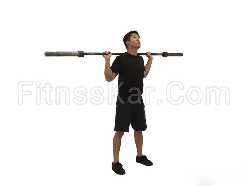 اسکات المپیک هالتر