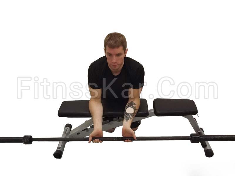 ساعد هالتر روی نیمکت - تصویر 1