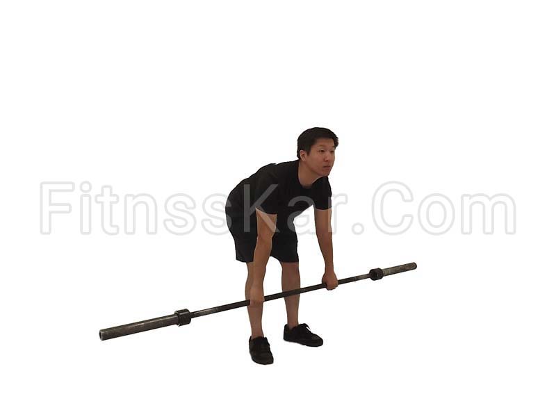 ددلیفت رومی با هالتر - تصویر 1