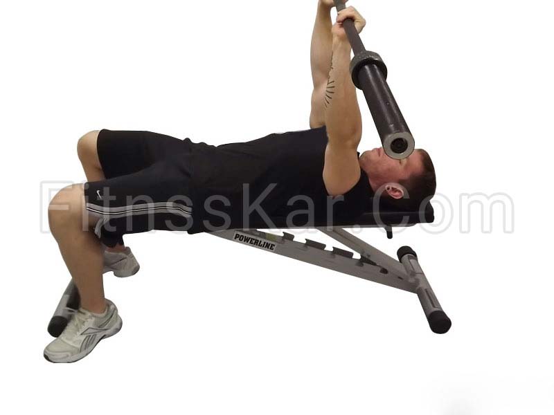 پشت بازو هالتر - تصویر 1