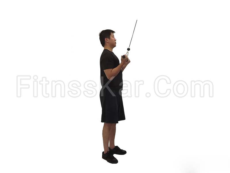 پشت بازو سیم کش دست برعکس - تصویر 1