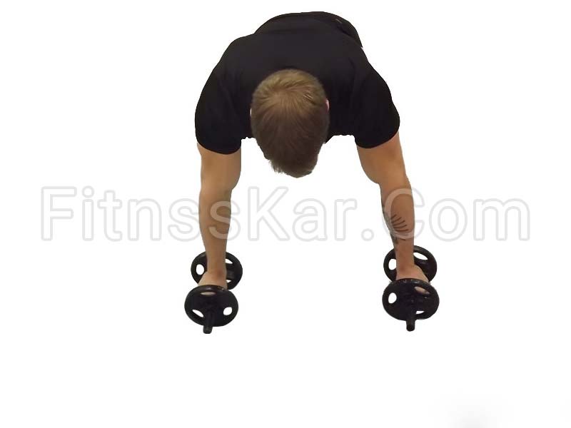 شنا دیپ - تصویر 1