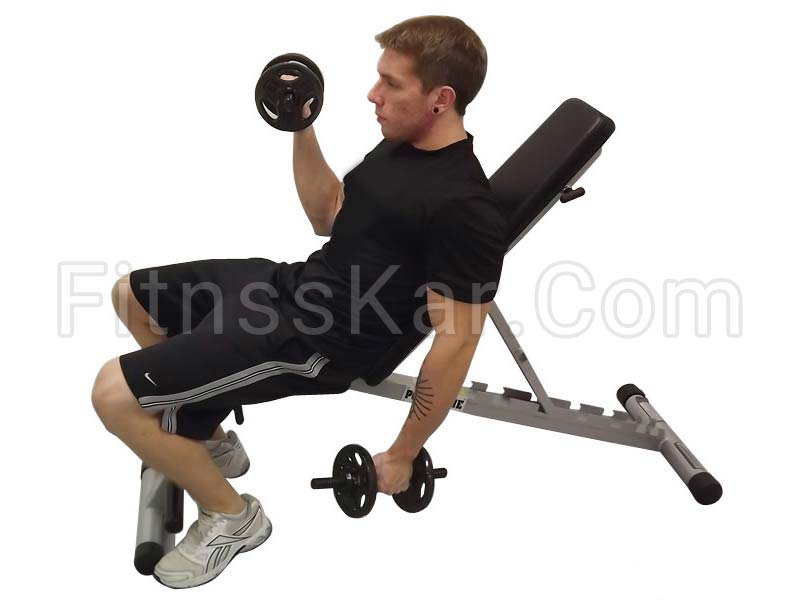 جلو بازو دمبل متناوب روی میز شیب دار - تصویر 1