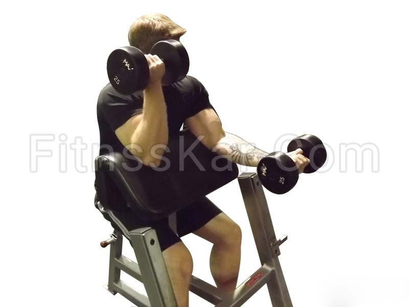 جلو بازو دمبل متناوب روی میز لاری - تصویر 1