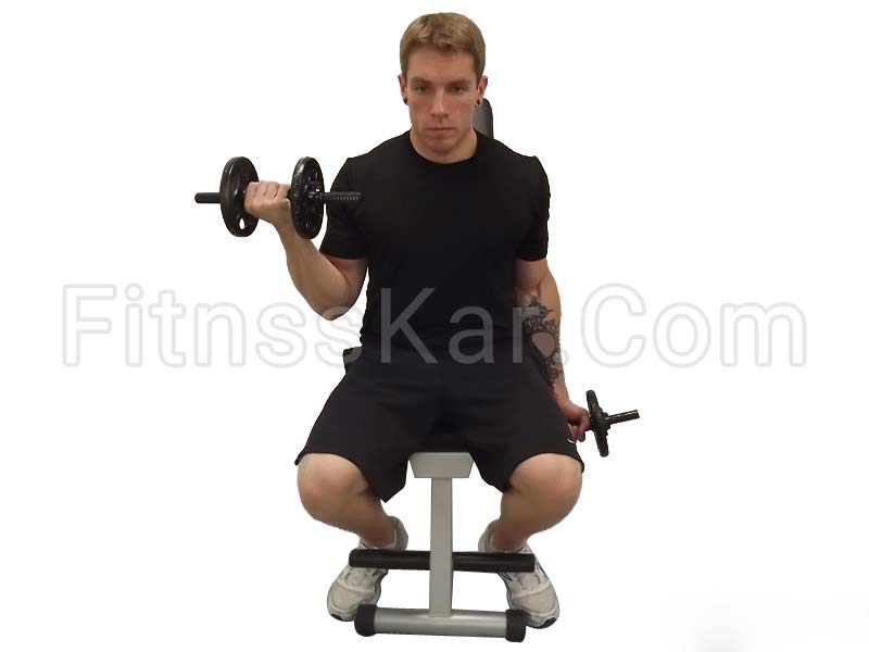 جلو بازو دمبل متناوب نشسته - تصویر 1