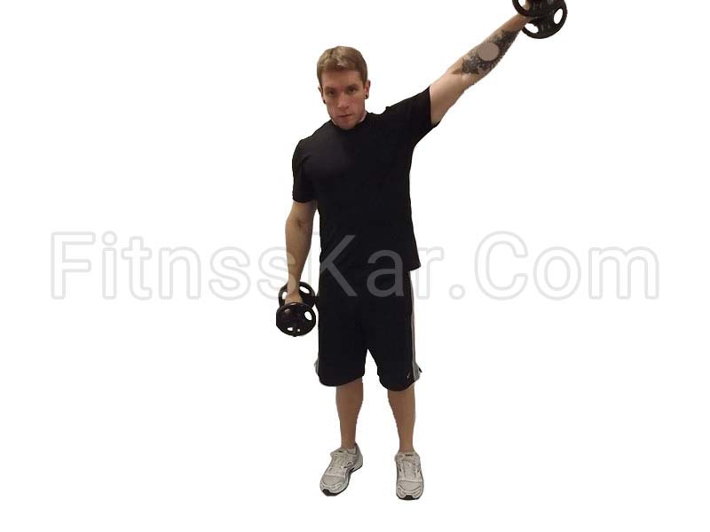 سرشانه نشر دلتوید دمبل متناوب - تصویر 2