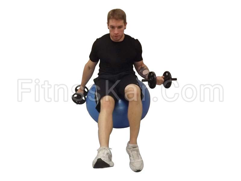 جلو بازو دمبل متناوب نشسته روی توپ ورزشی - تصویر 1