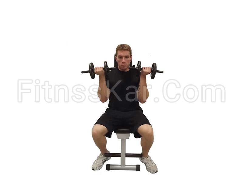 پرس سرشانه آرنولدی دمبل - تصویر 1