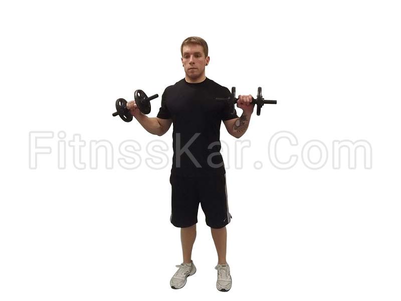 جلو بازو دمبل برعکس - تصویر 2