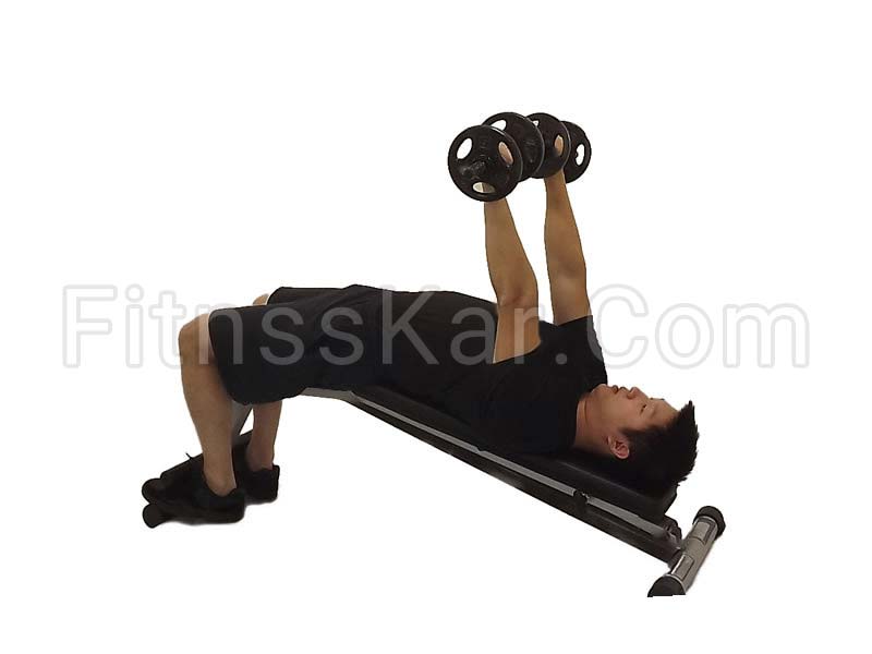 پرس زیرسینه دمبل روی نیمکت - تصویر 1