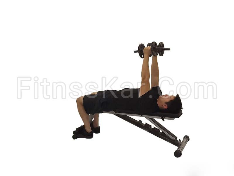 فلای سینه دمبل - تصویر 1