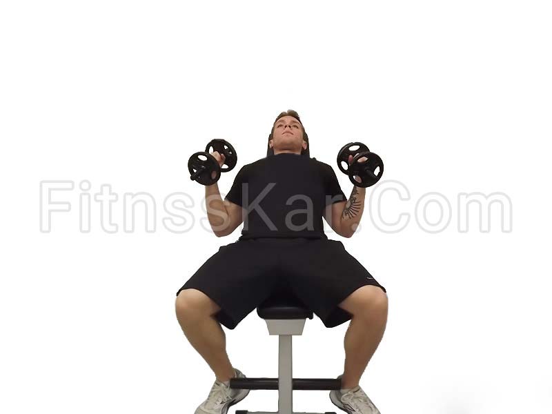 پرس بالاسینه دمبل چکشی - تصویر 1