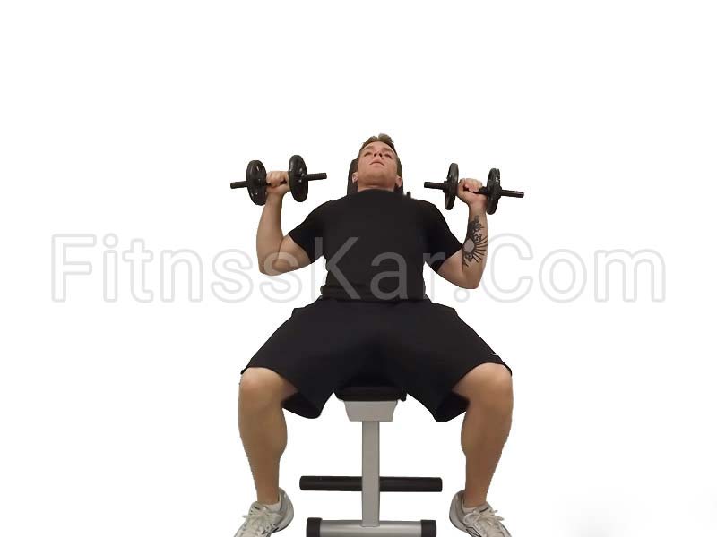 پرس بالاسینه دمبل - تصویر 1