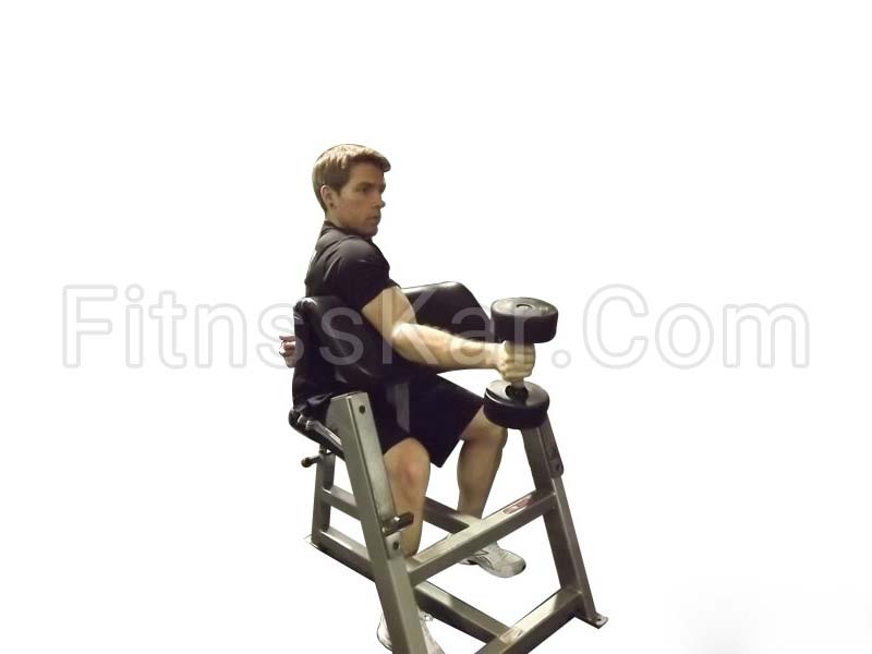 جلو بازو چکشی دمبل تک روی میز لاری - تصویر 1