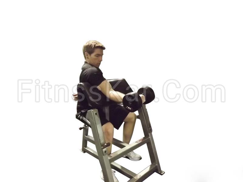 جلو بازو دمبل تک روی میز لاری - تصویر 1