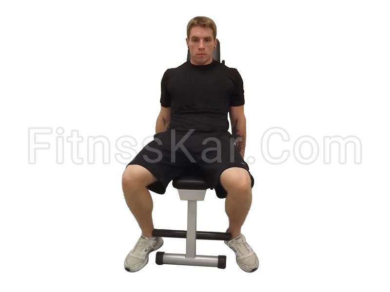 جلو بازو چکشی دمبل تک نشسته