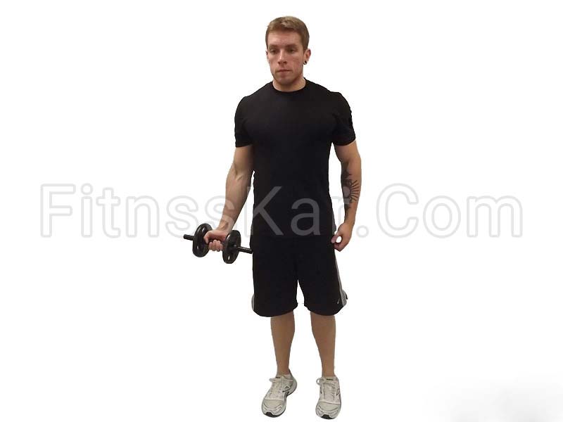 جلو بازو دمبل تک ایستاده - تصویر 1