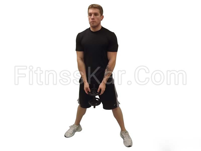 اسکات پایل دمبل - تصویر 1