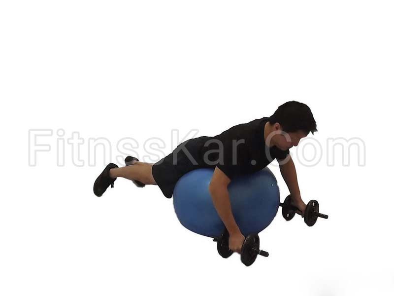 فلای عقب دلت دمبل روی توپ ورزشی - تصویر 1