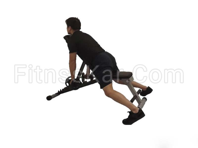 فلای معکوس دمبل - تصویر 1