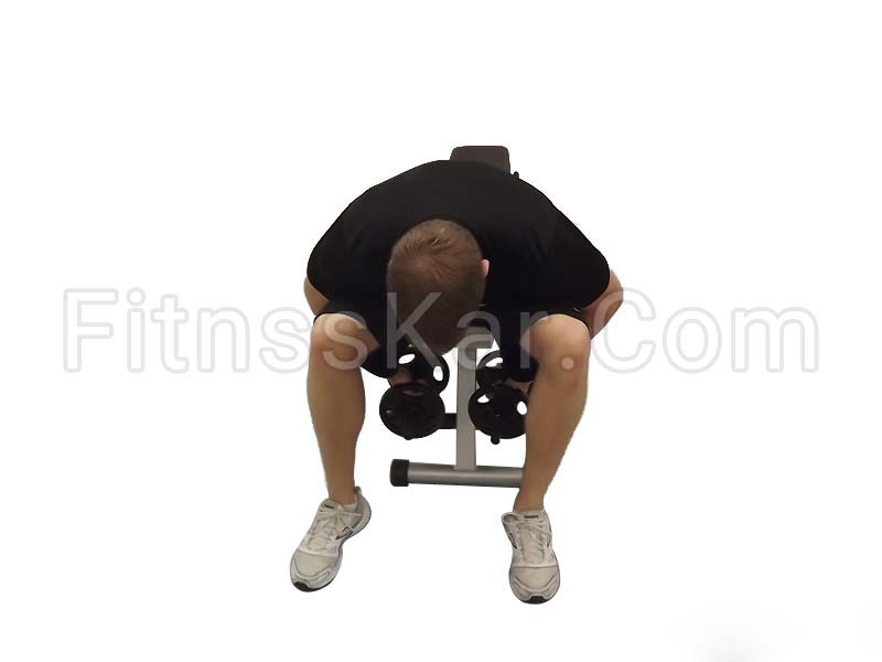 فلای معکوس دمبل خم نشسته - تصویر 1