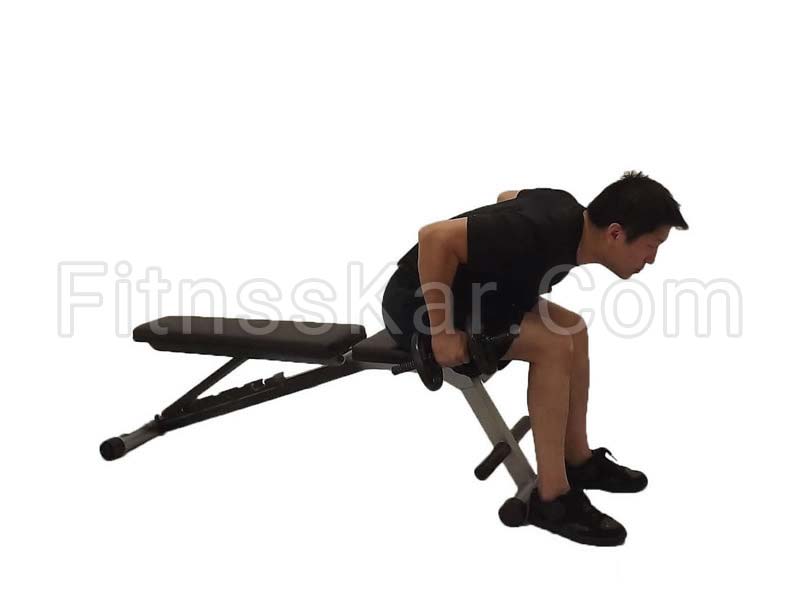 پشت بازو دمبل جفت خم نشسته - تصویر 1