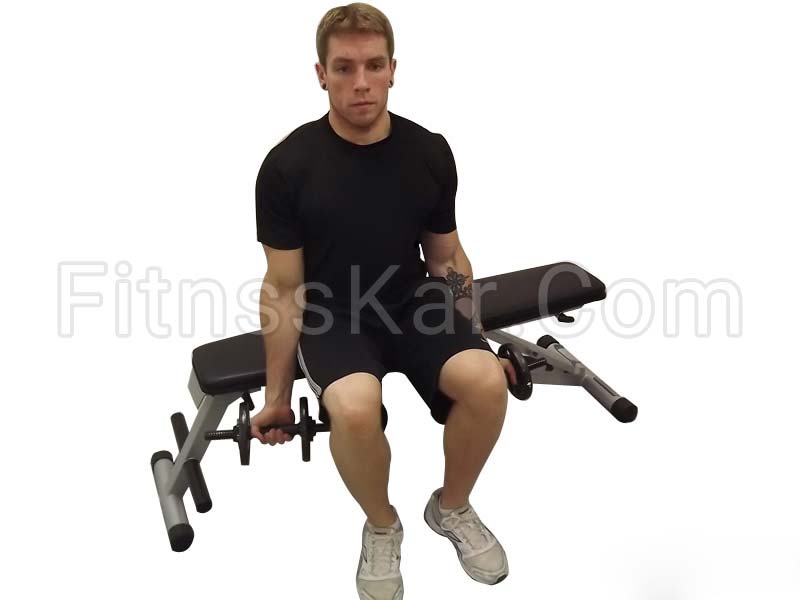 جلو بازو دمبل نشسته - تصویر 1