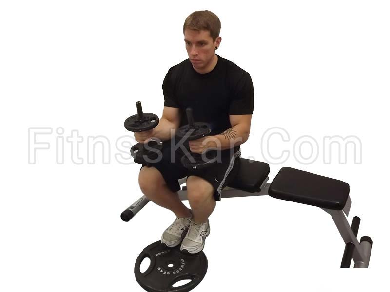 ساق پا دمبل نشسته - تصویر 1