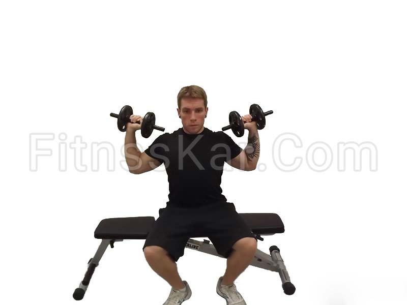 پرس سرشانه دمبل - تصویر 1