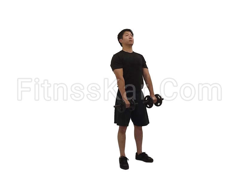 ددلیفت دمبل پاها سفت شده - تصویر 2