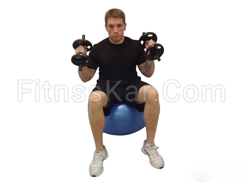 جلو بازو چکشی دمبل جفت نشسته روی توپ ورزشی - تصویر 2