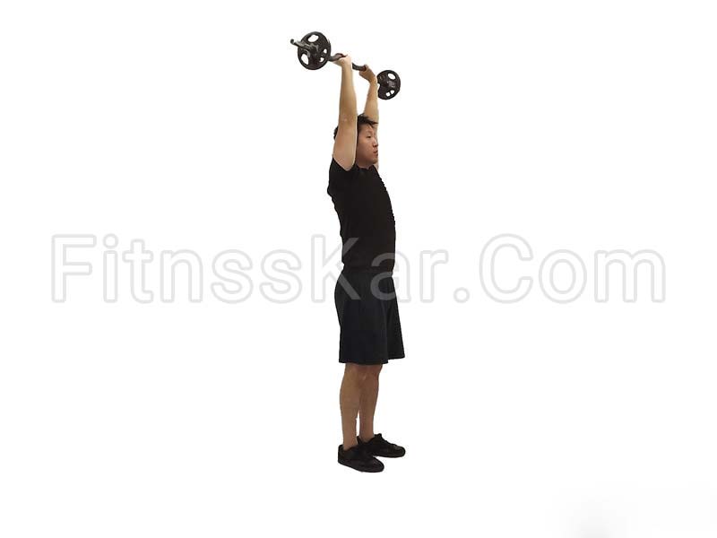 پرس فرانسوی پشت بازو هالتر لاری ایستاده - تصویر 1