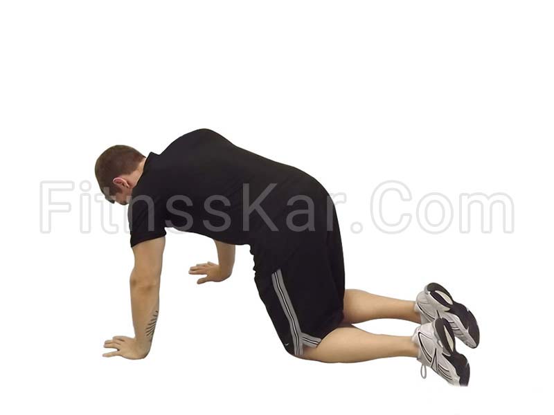 باسن کیک بک - تصویر 1