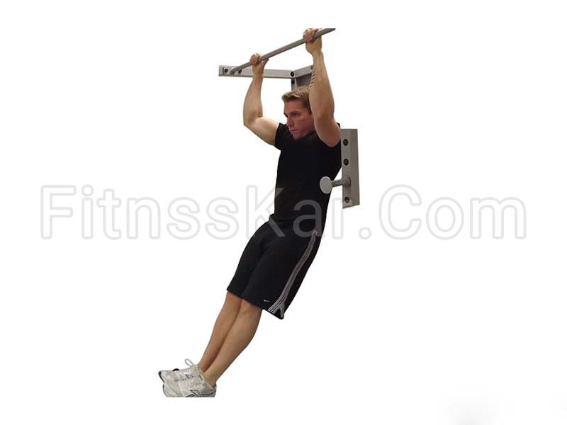 زیر شکم اردک ماهی آویزان - تصویر 1