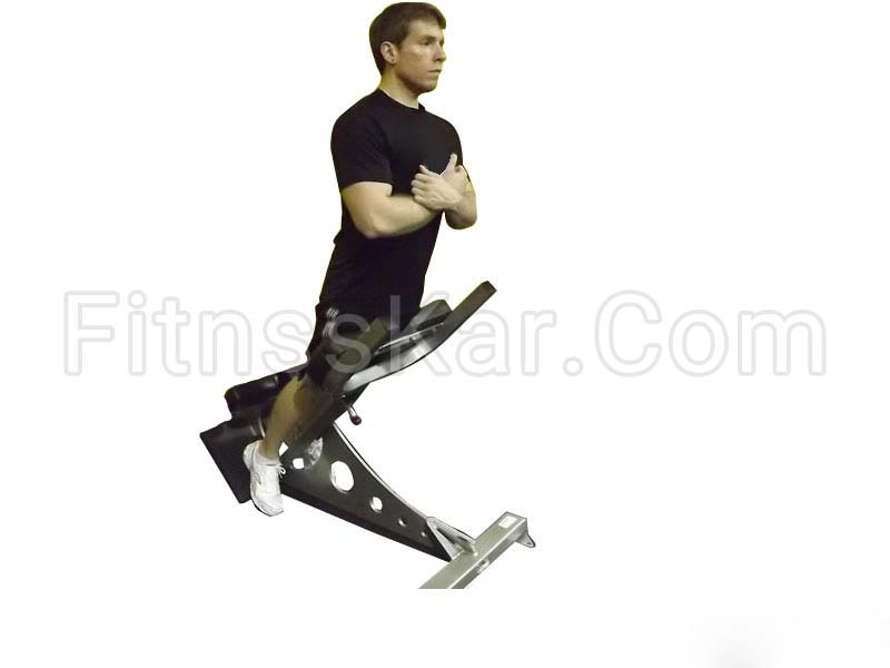 فیله کمر - تصویر 1