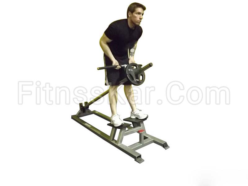 زیر بغل پارویی دست برعکس با دستگاه T بار - تصویر 2