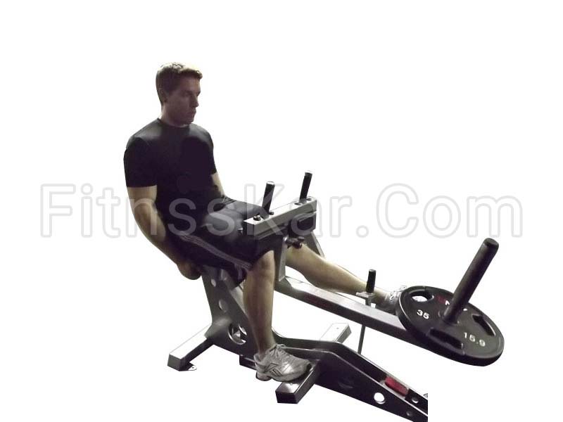 ساق پا تک نشسته - تصویر 1