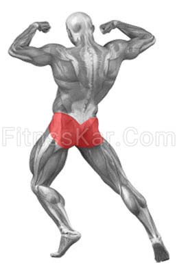 عضلات درگیر باسن کیک بک