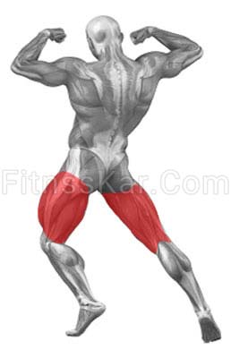 عضلات درگیر استپ آپ دمبل